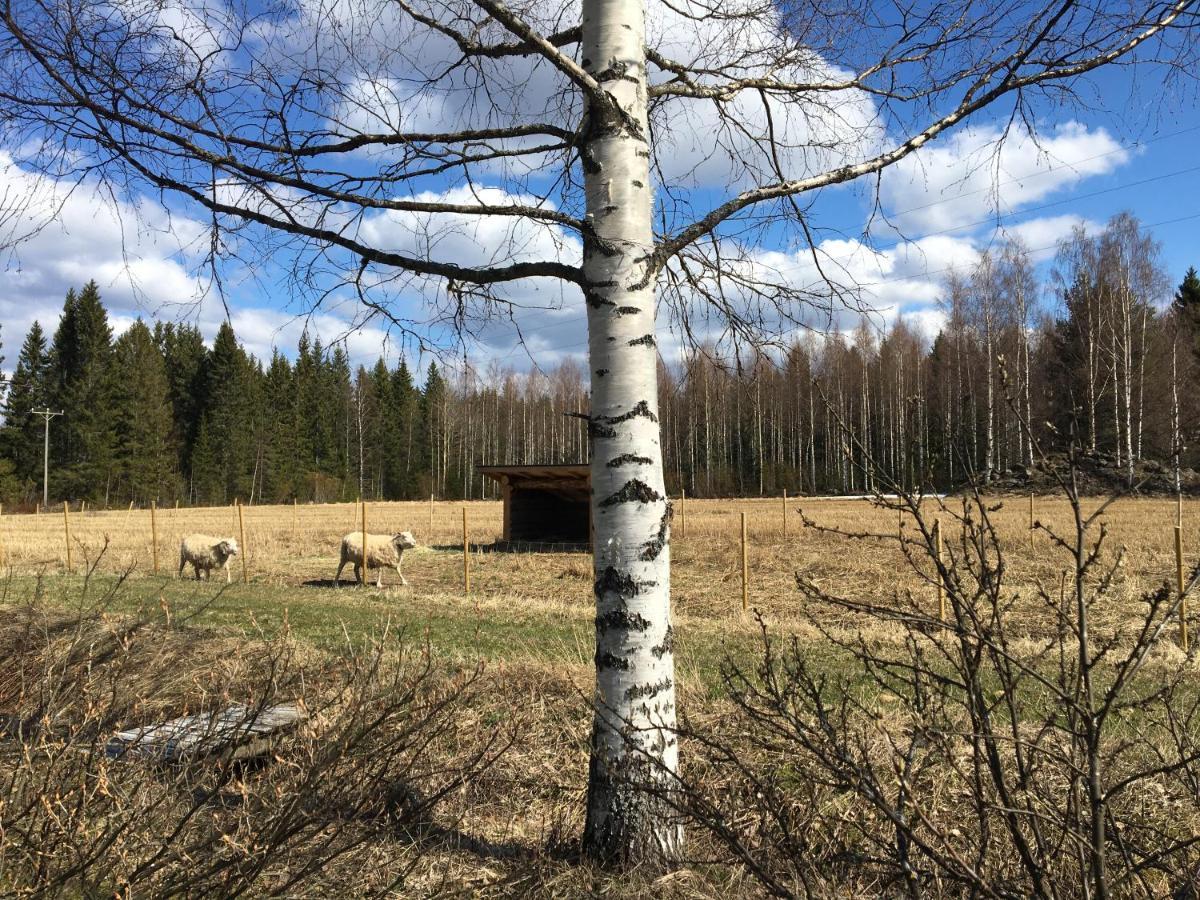 Kivirannan Tupa Vila Ylivieska Exterior foto